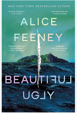 Beautiful ugly cover image