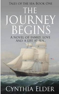 The journey begins cover image