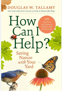 How can I help cover image