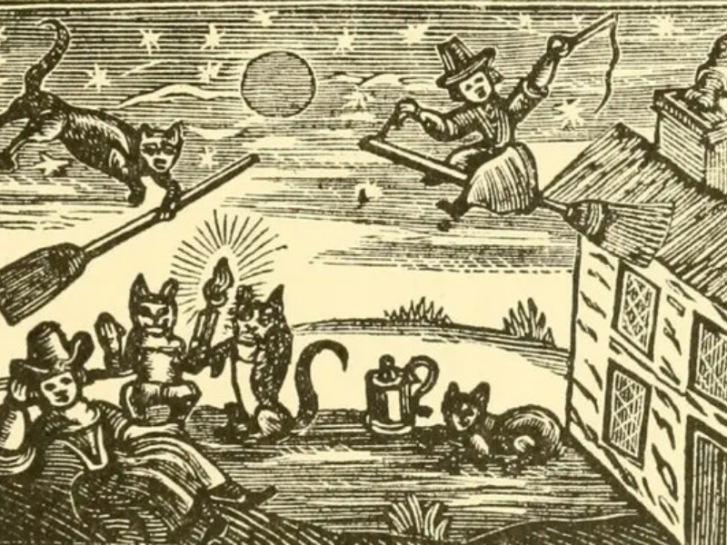 witches