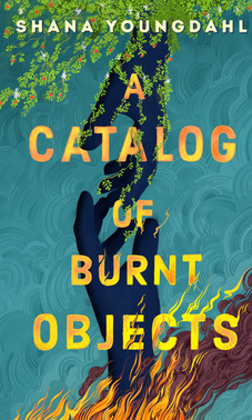 A catalog of burnt objects cover image