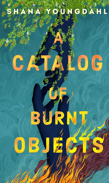 A catalog of burnt objects cover image