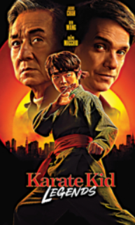Karate kids: Legends cover image
