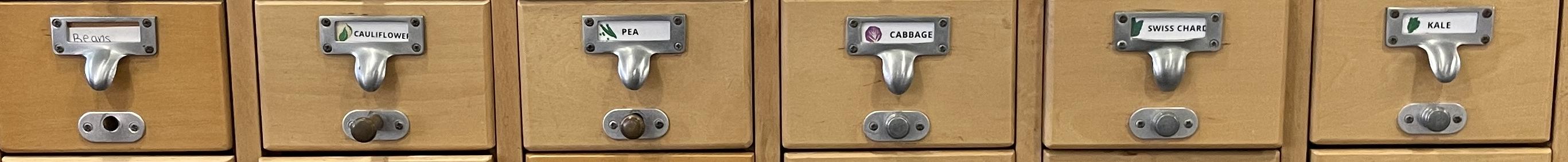 Seed Library